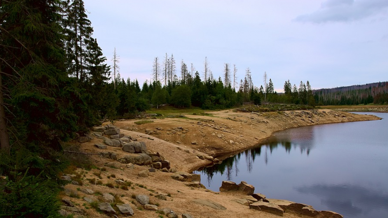 Язовирите в Русенско са пълни наполовина и в добро техническо състояние