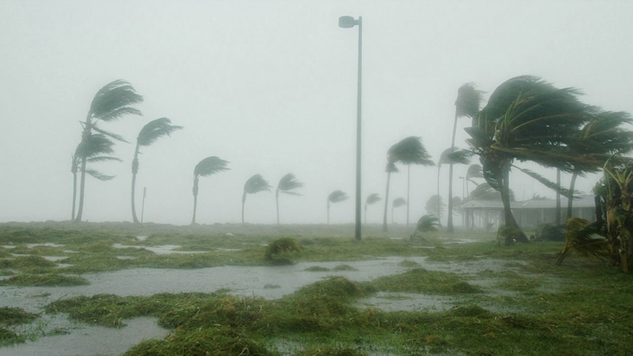 Тропическата буря Нора вече е ураган, в САЩ се готвят и за урагана Ида