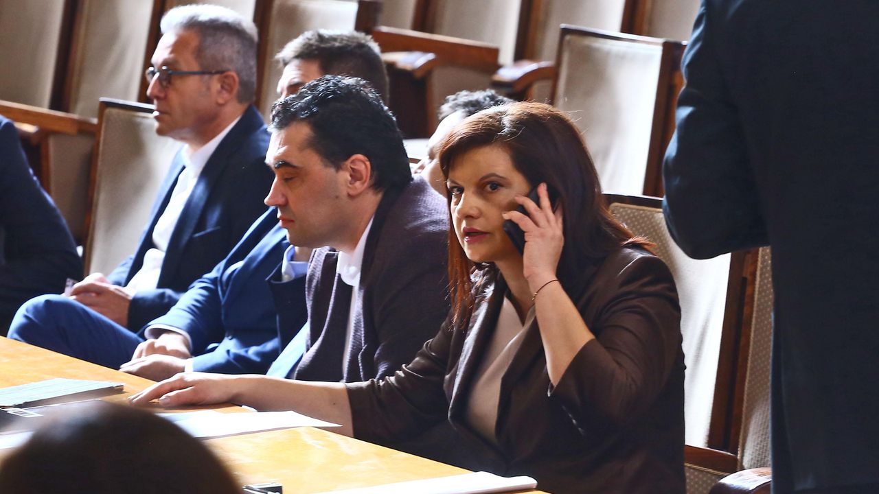 Даниела Дариткова за проекта за нова Конституция: Няма таен замисъл