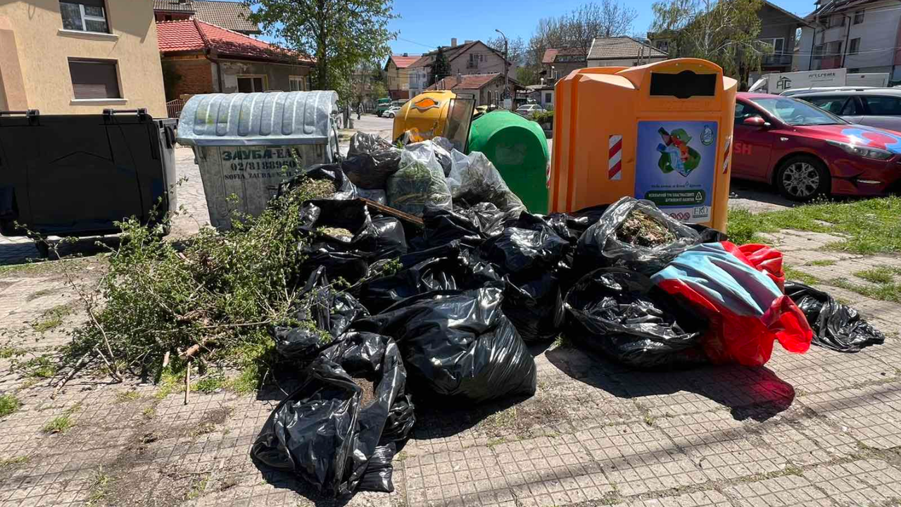 През последните седмици стотици доброволци – студенти, служители на компании