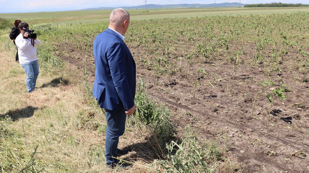 Министърът на земеделието и храните Георги Тахов се срещна със земеделски производители, пострадали от градушка