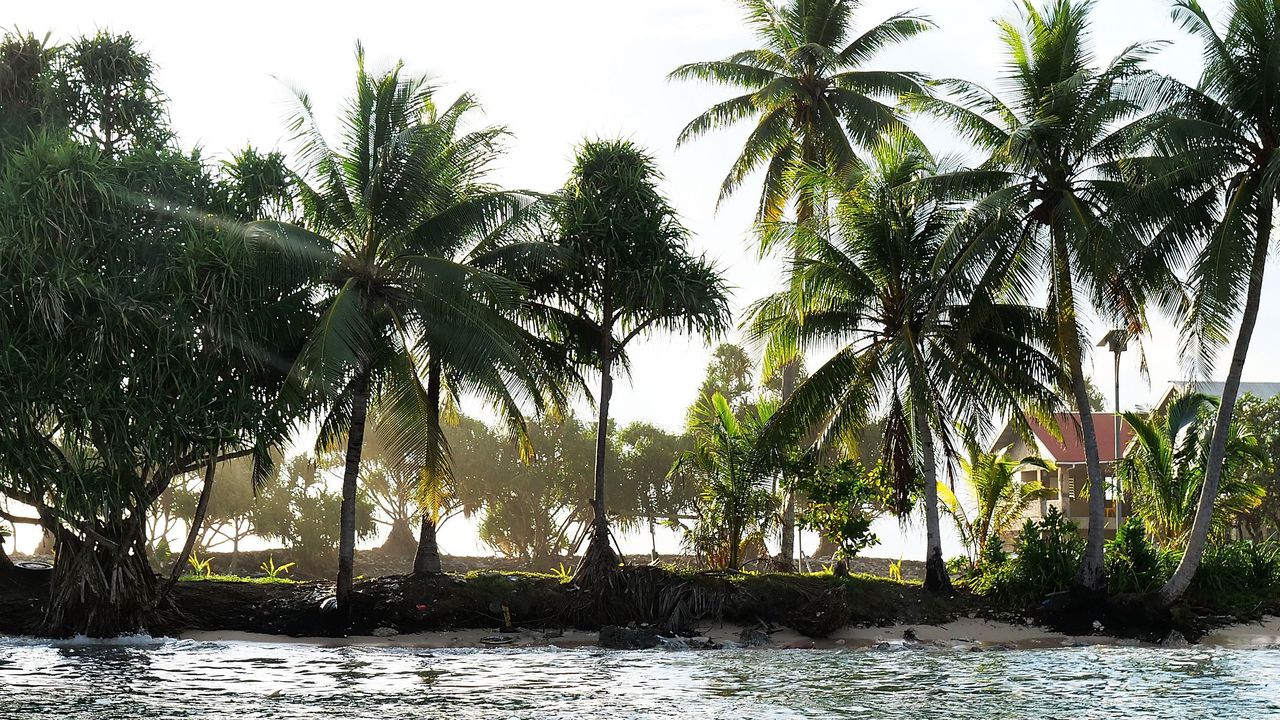 Над една трета от гражданите на Тувалу са се регистрирали