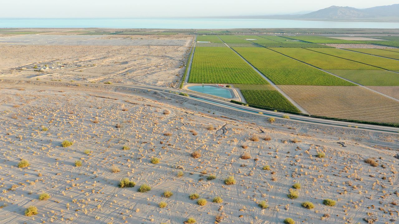 Националният център за развитие на растителната покривка и борба с