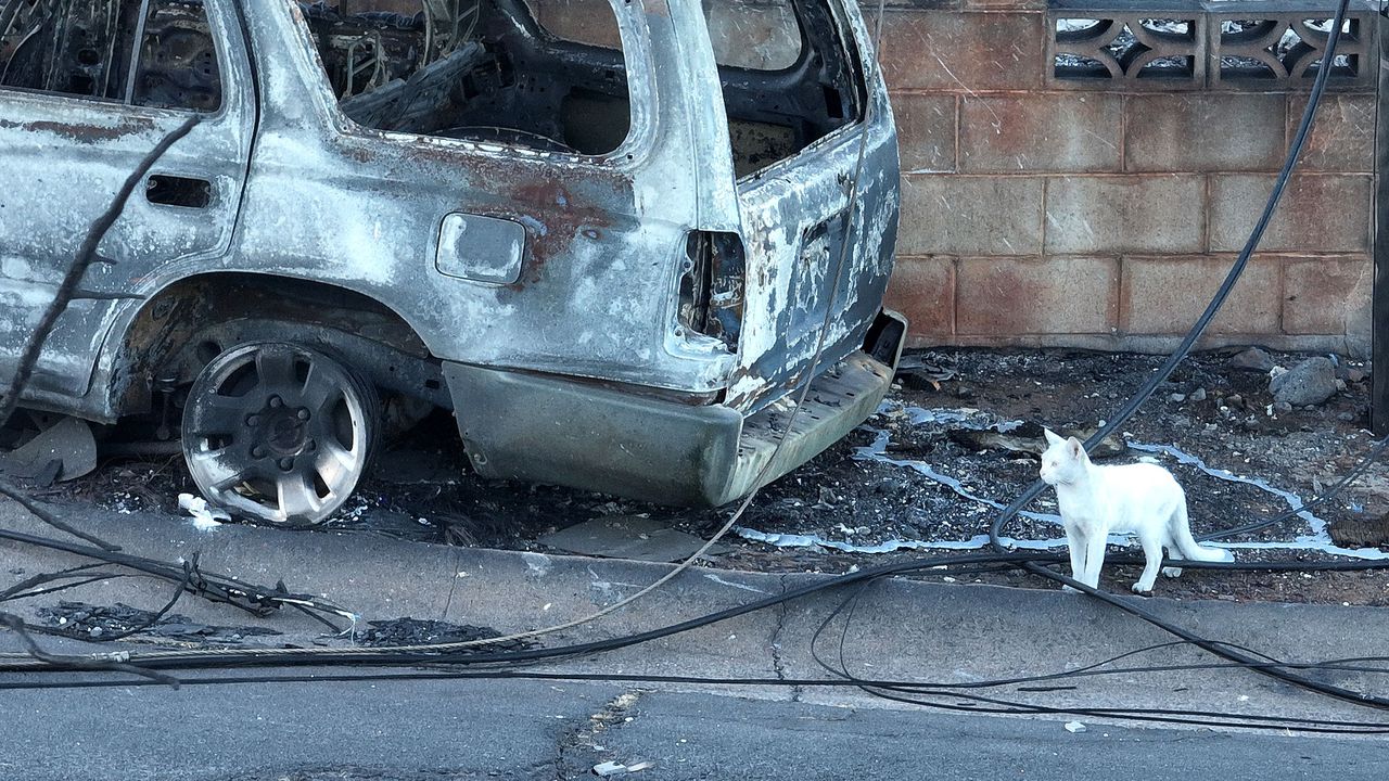 Коли горяха в Русе, съобщиха от полицията.Тази нощ два пожарни