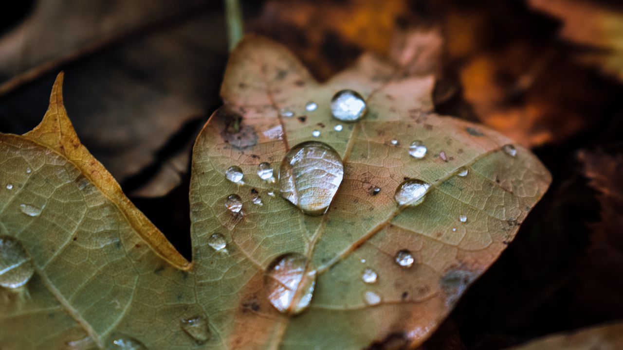 С какво време ще започне новата седмица?