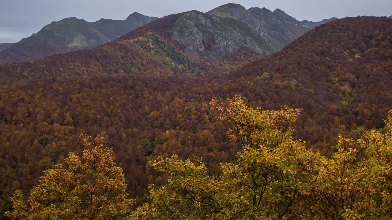 Добри са условията за туризъм в планините