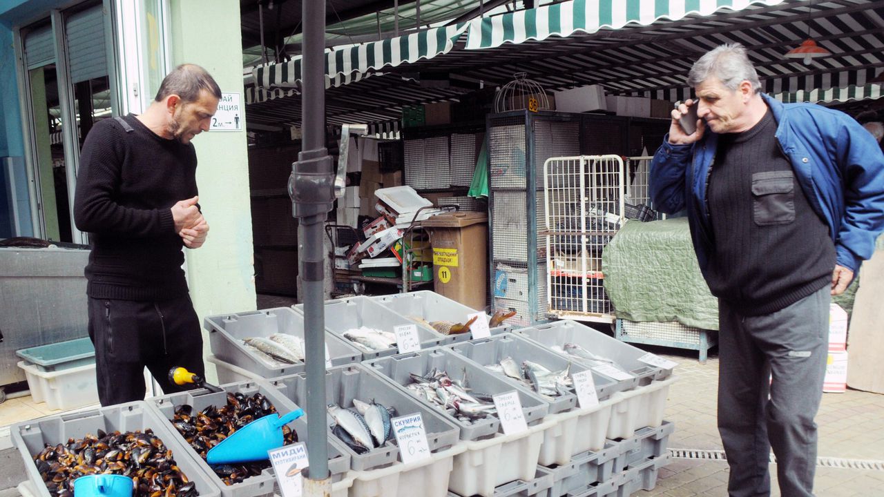 Черноморският пресен сафрид се предлага между 4 и 5 лева