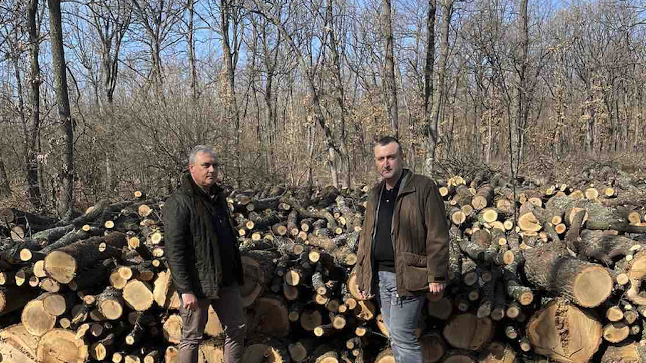 Започнаха проверките в складове за продажба на дърва за огрев