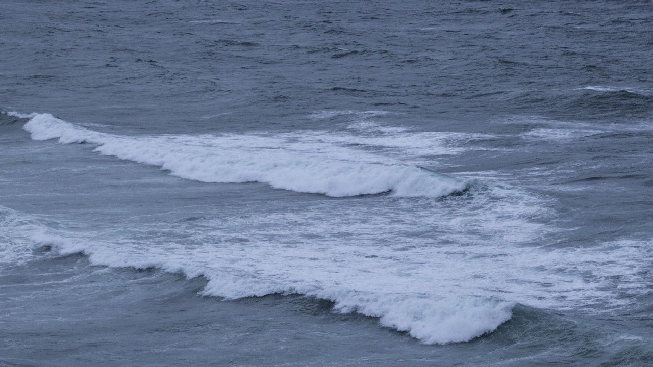 Назначена е комисия за разглеждане на предложение за обявяване на морска защитена територия