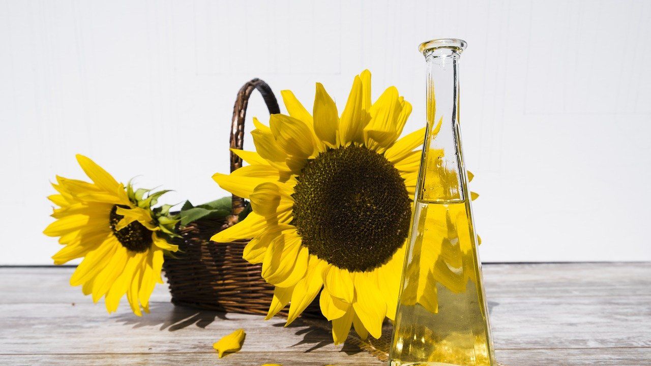 Експерт: Олиото няма да скочи повече от 8 лева на литър