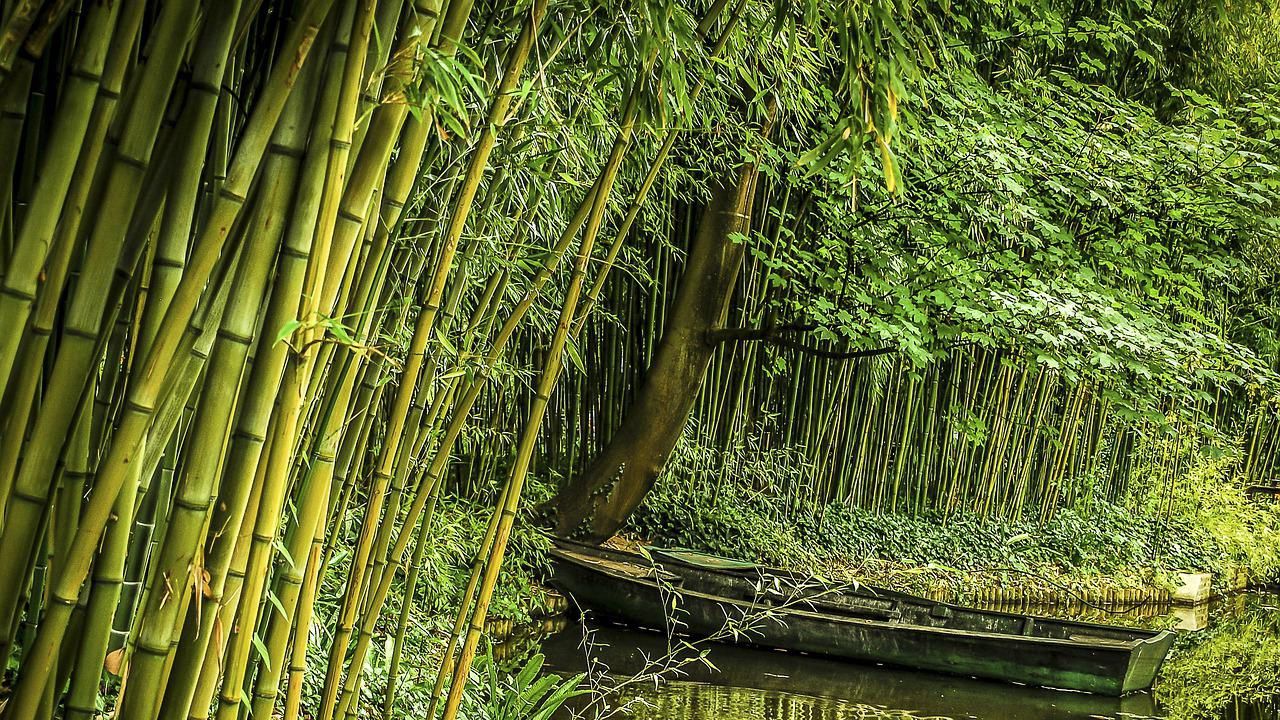 Почина най-самотният човек на планетата