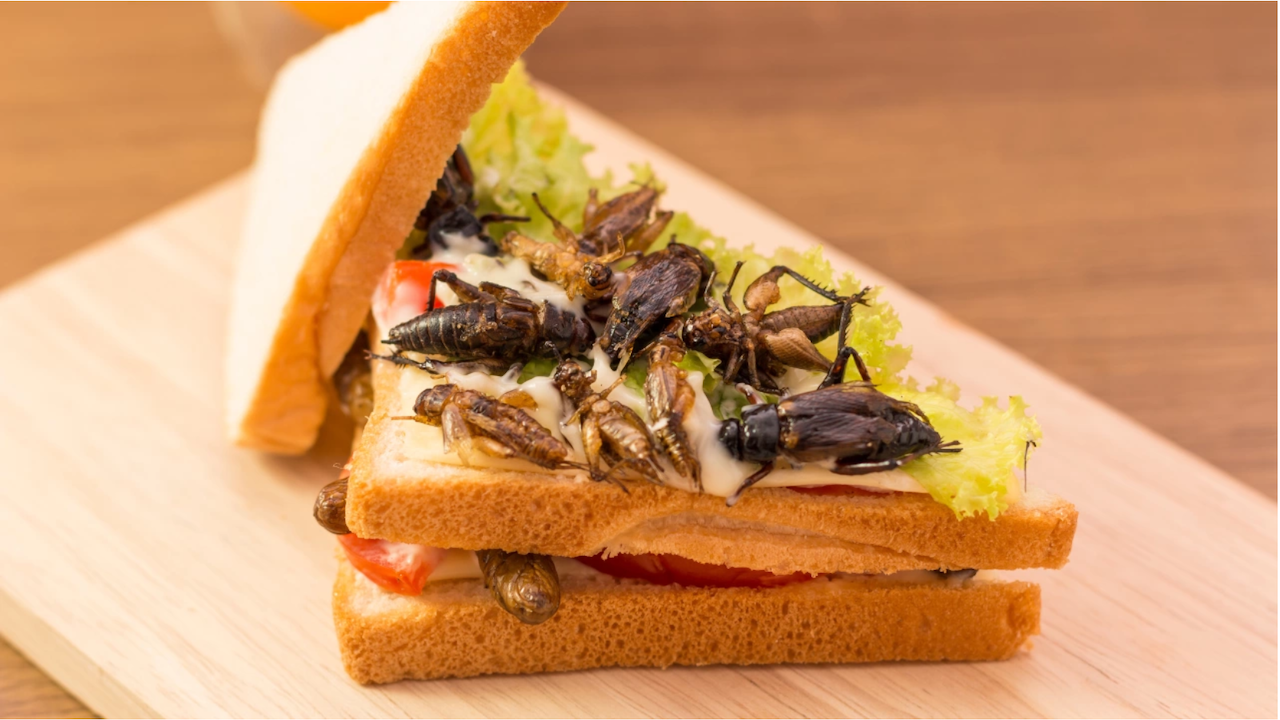 Factcheck: Не е вярно, че ,,хората вече ще ядат насекоми, без да го знаят“ с разрешение на ЕС