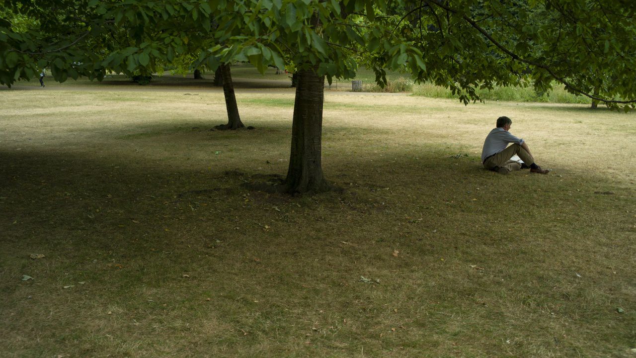 Дърветата могат да намалят с една трета смъртните случаи от градски горещини