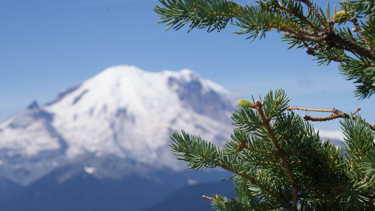 Вижте какво време ни очаква утре