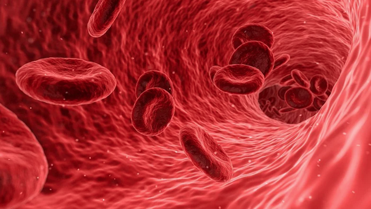 С генна терапия излекуваха пациенти с левкемия