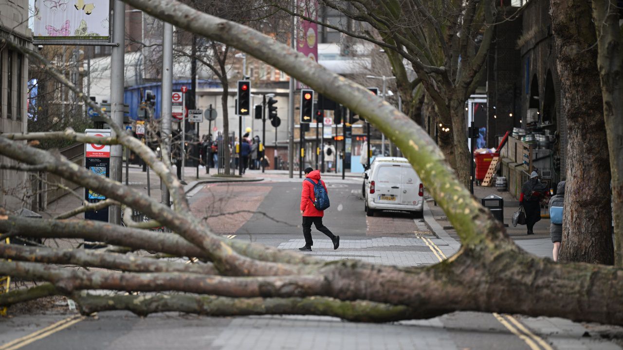 Прекършени дървета и наводнения след силна буря в Алпите, има ранени