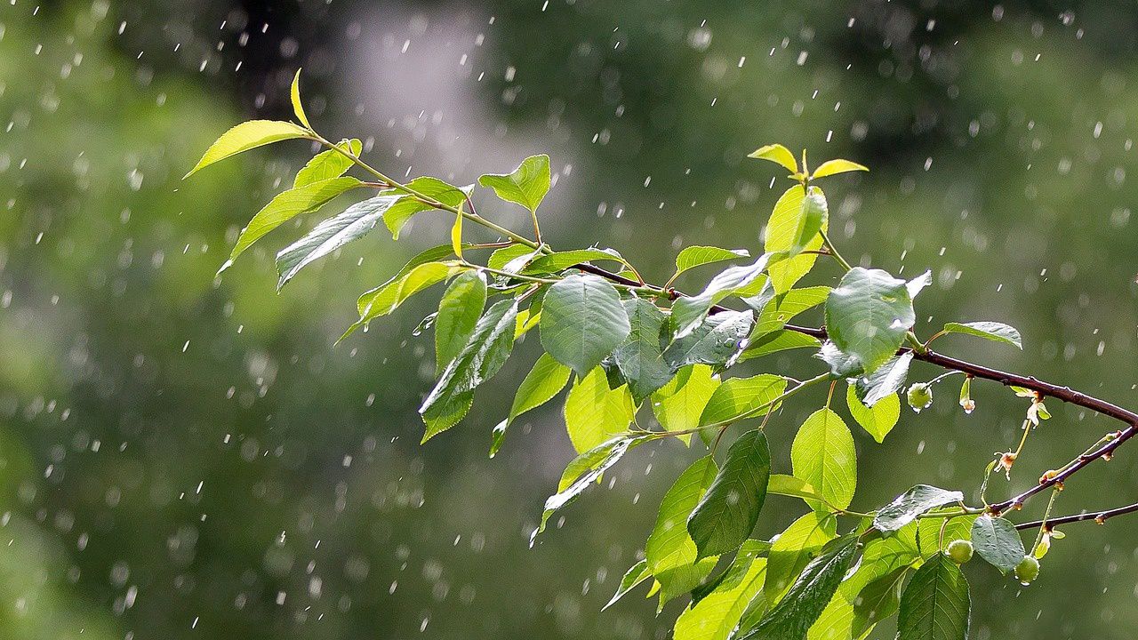 Ето какво време ни очаква днес