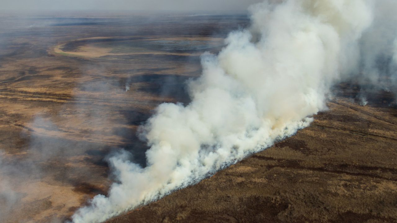 Сушата в Аржентина предизвиква загуби за милиарди и фалити на фермери