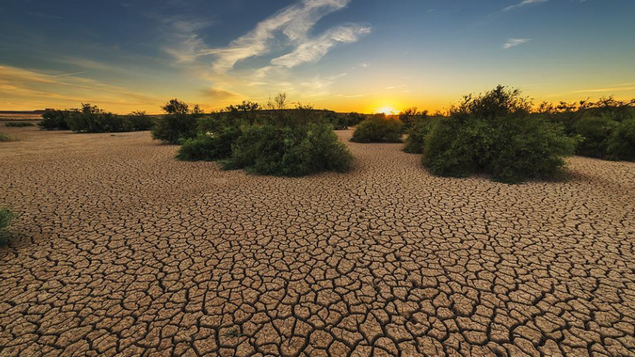 Почти цяла Португалия е обхваната от тежка суша след рекордни горещини миналия месец