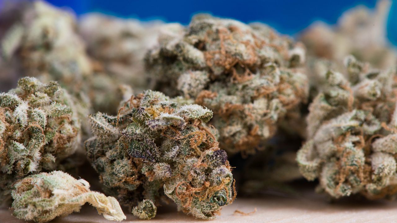 Арестуваха 18-годишен, държал канабис вкъщи