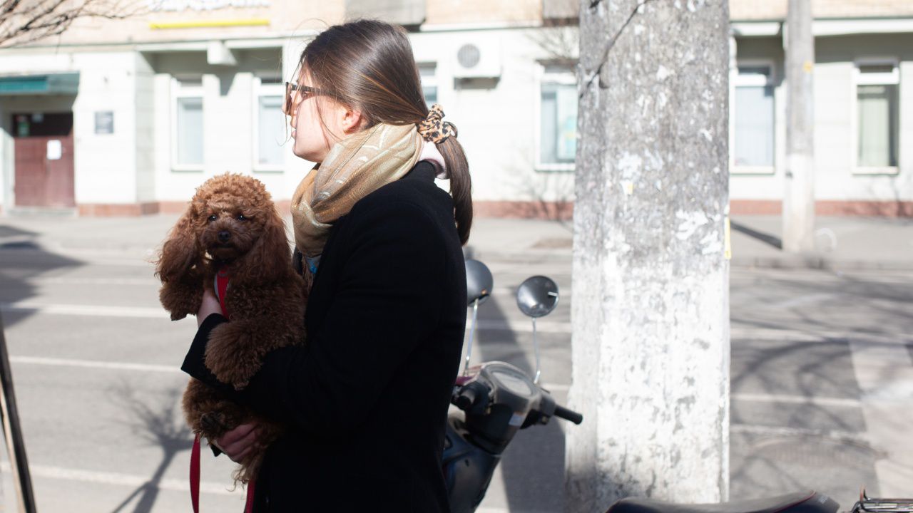 Кучетата са станали "най-добрият приятел на човека" благодарение на ген, който намалява стреса