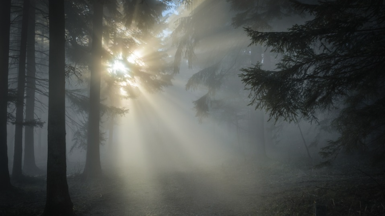 ТВ екип отиде до мястото, където беше открит Сашко от Перник