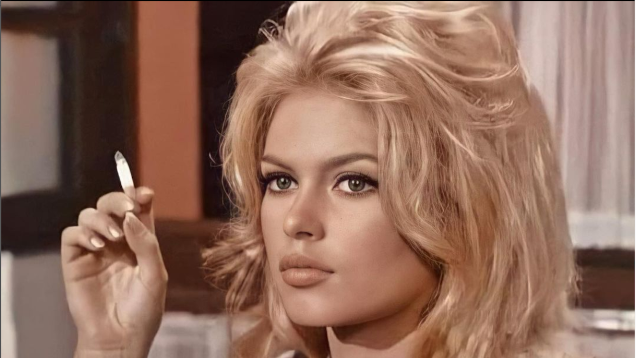 Как живее днес единственият син на Бриджит Бардо, когото тя изхвърли на улицата?