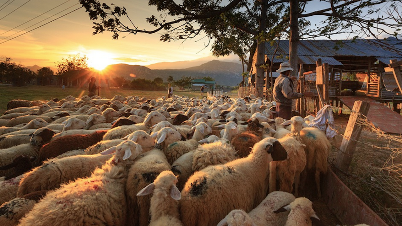 Убитият пастир от село Антон е лежал в затвора