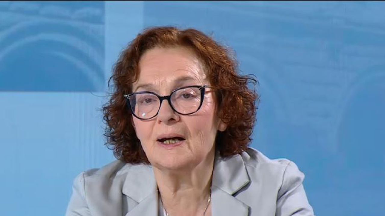 Проф. Коларова: Фракцията на Доган е изключително пасивна, Пеевски им взе инициативата