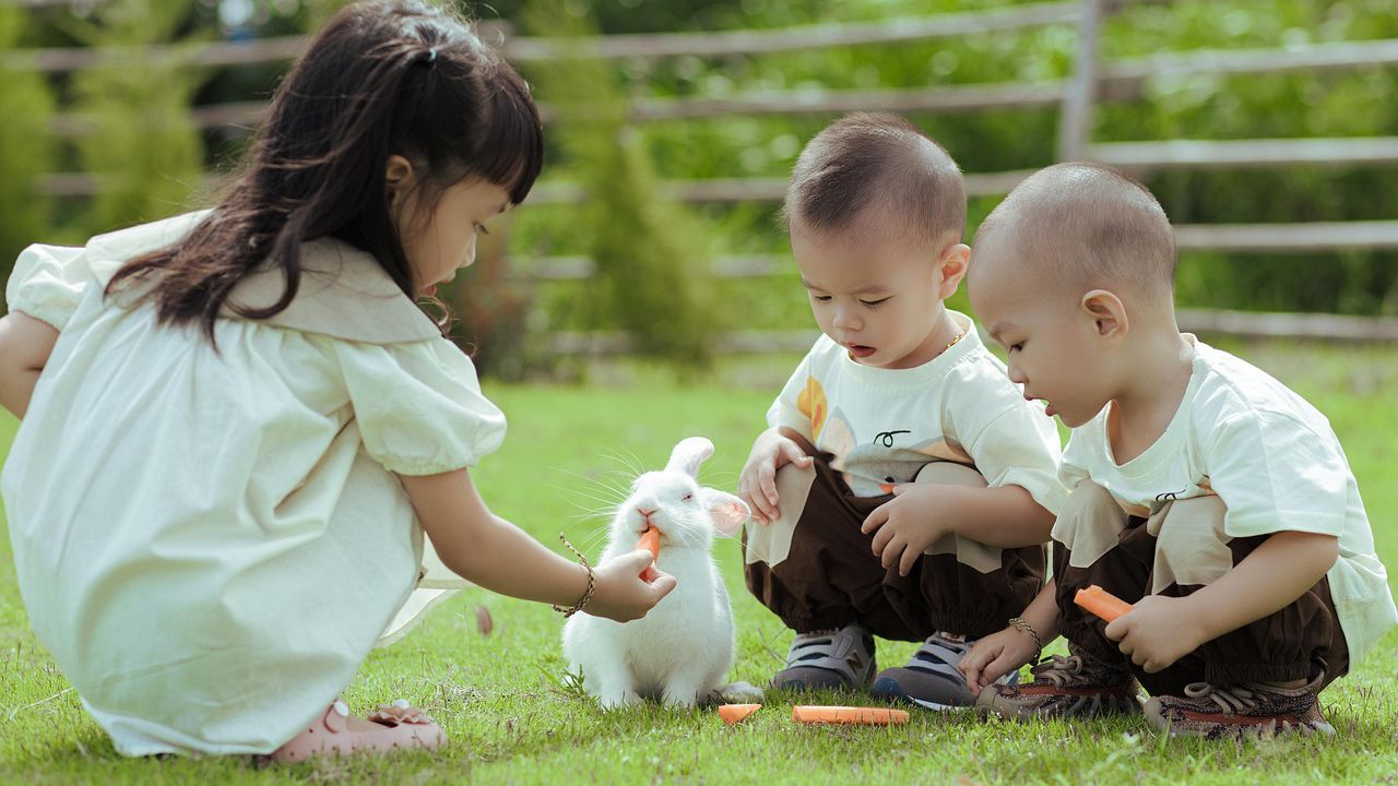 Китай обяви нова национална мярка за стимулиране на раждаемостта, според