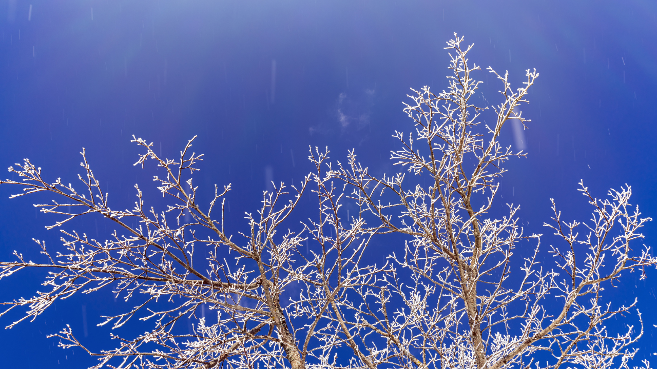 Към момента са разплатени над 13 млн. лв. по 938