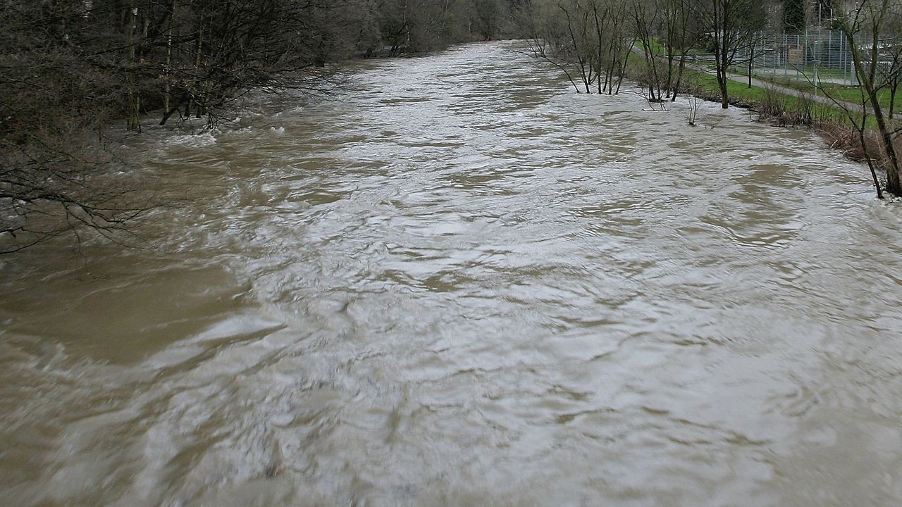 Необходимо е да се финансира проект за почистване на река