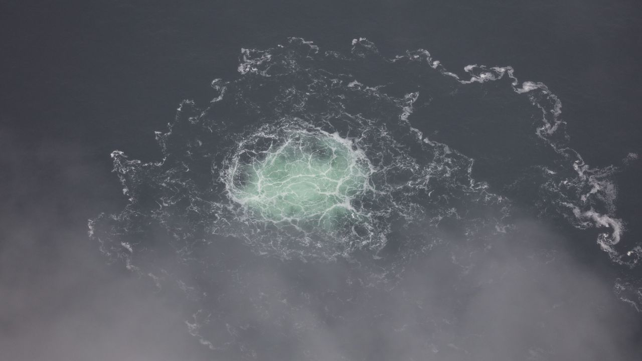 Украинецът Серхий Кузнецов е задържан по нареждане на Федералния съд