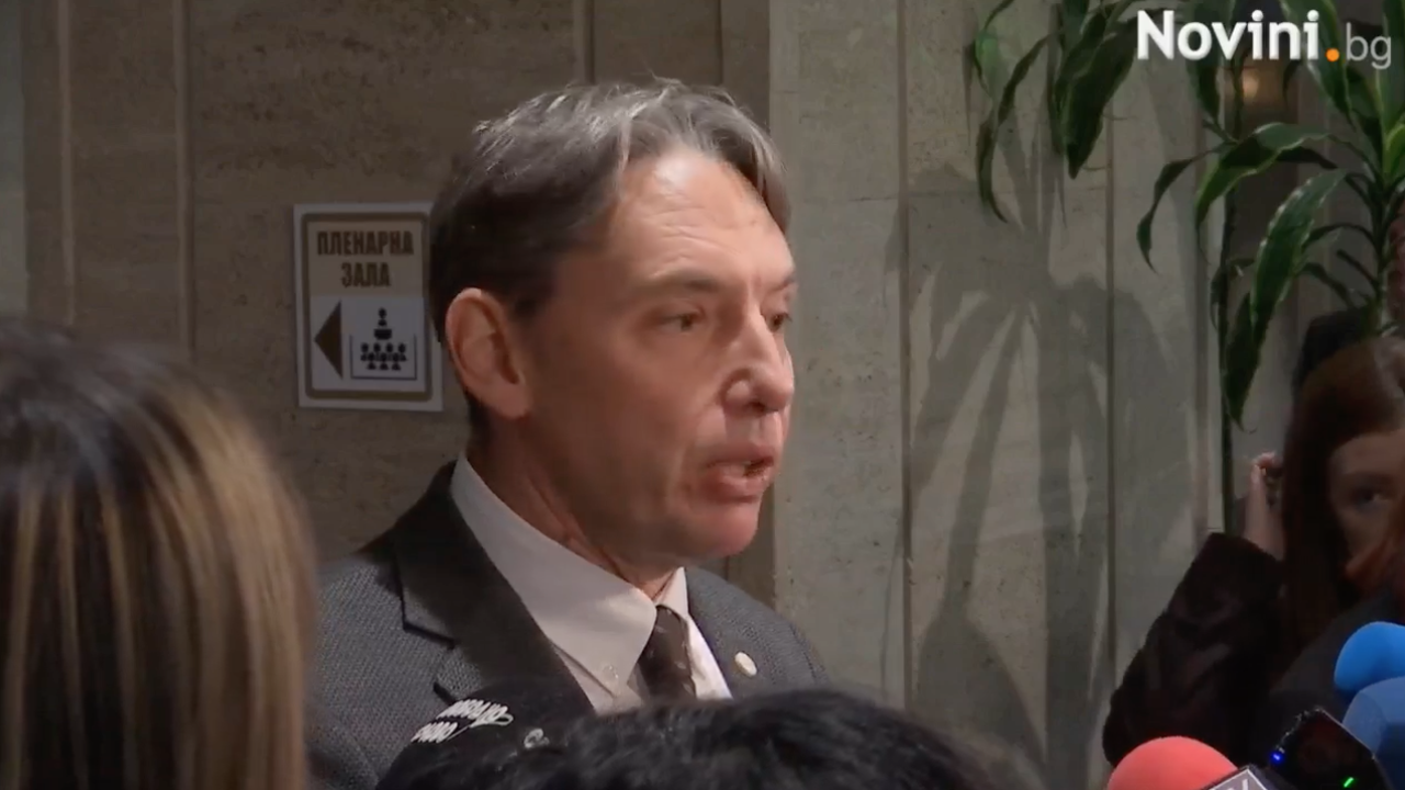 Кой изпрати Черепа и провокаторите? Случката с дамите от МЗ