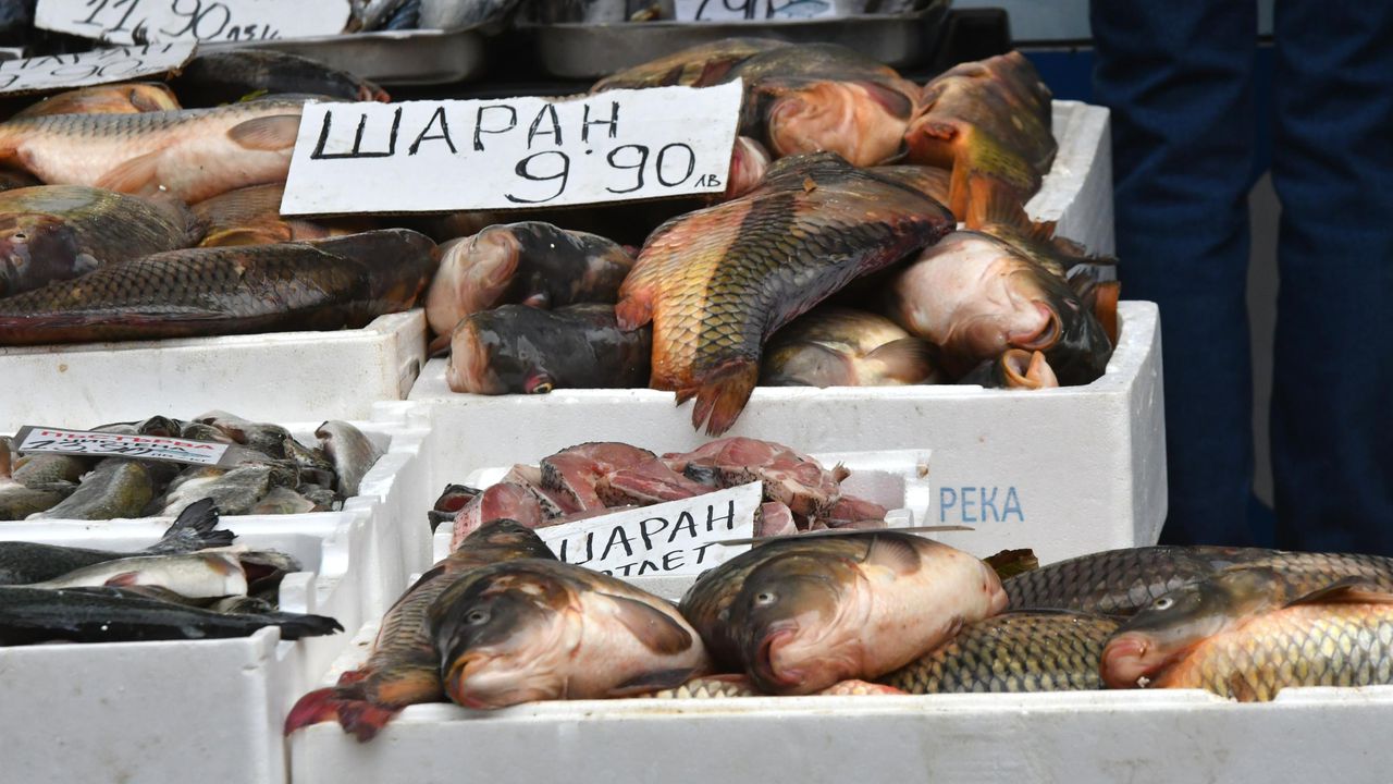 Шаранът масово се търгува на цена от 10 лв. за