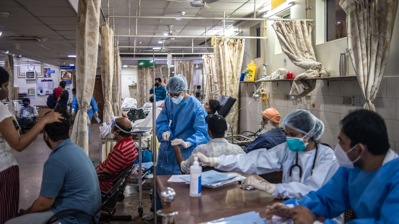 Какво е вирусът Нипа?Колко често се среща?Нипа е идентифициран за