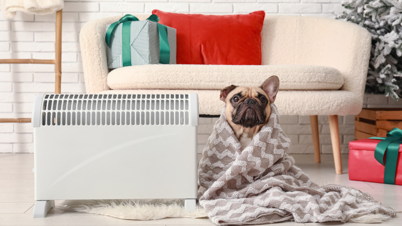 Очаква се топлоподаването да се възстанови до 9:30 часа днес,