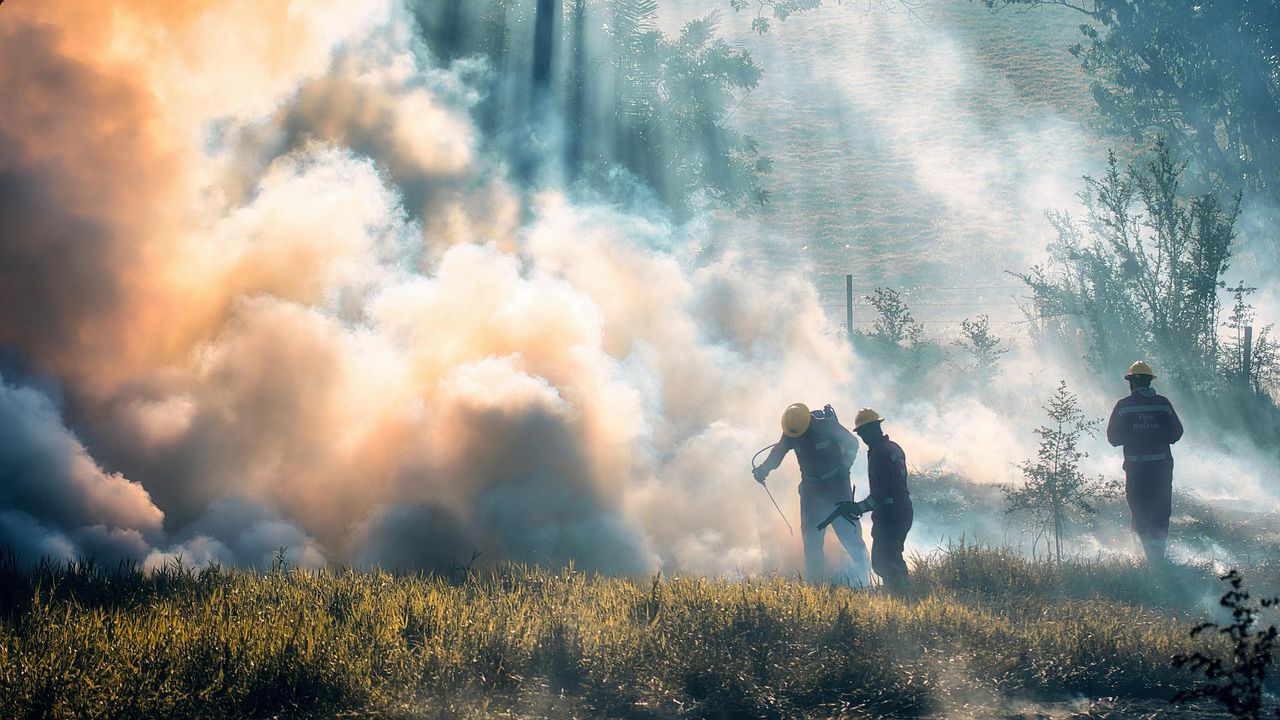 В отговор на нарастващия риск от горски пожари Турция ограничи