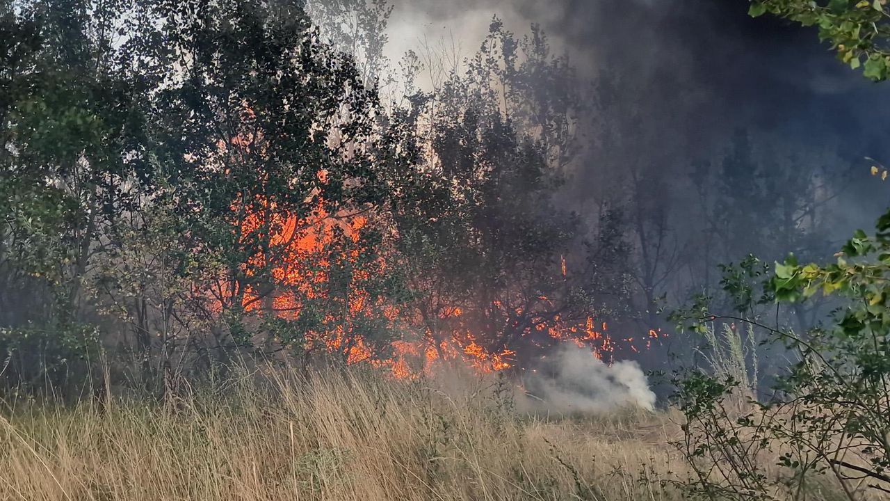 Пожар гори край село Обручище, обявено е частично бедствено положение