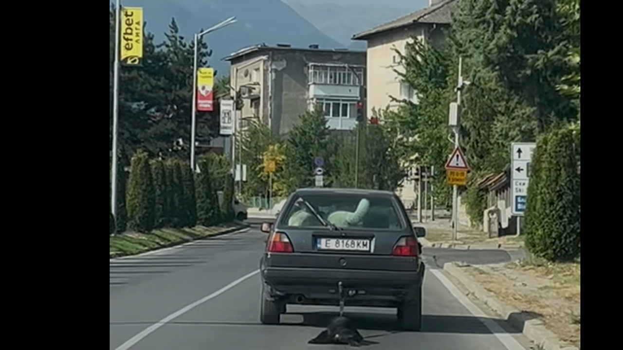 Поредно скандално видео: Мъж влачи куче с колата си в Банско