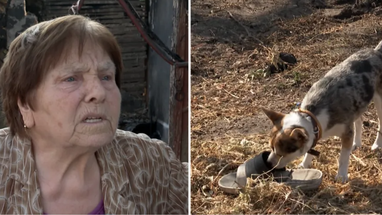 27 юли, следобед. Козарево пламва откъм Бакаджика. В една от