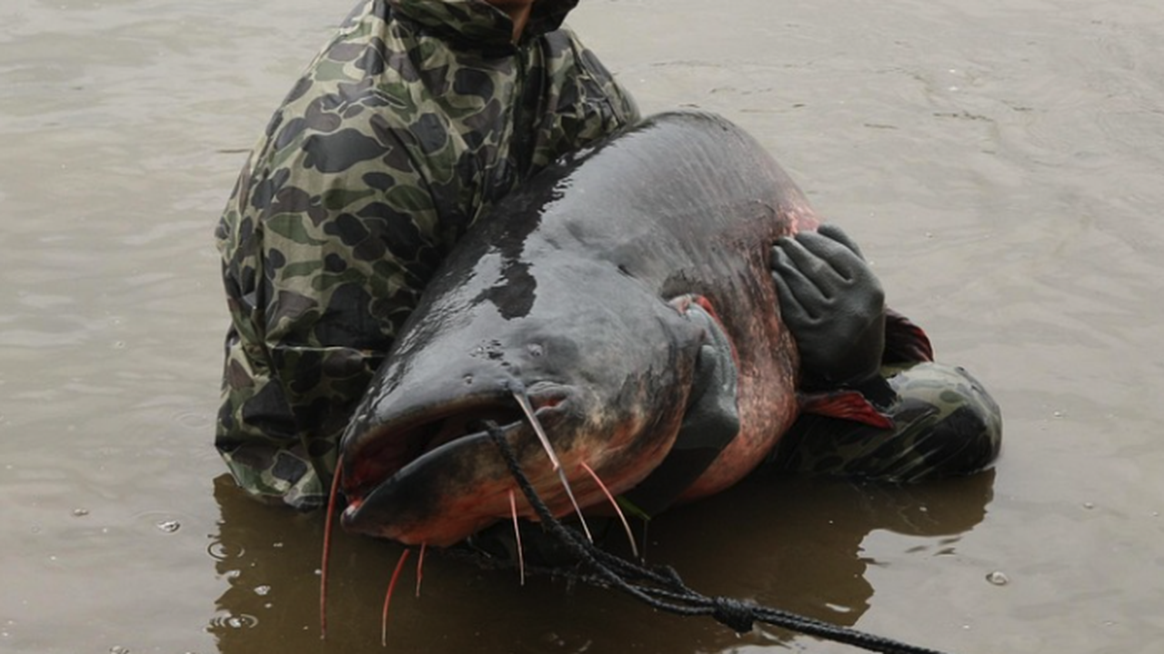 Мъж извади рибата на живота си от езеро в германската