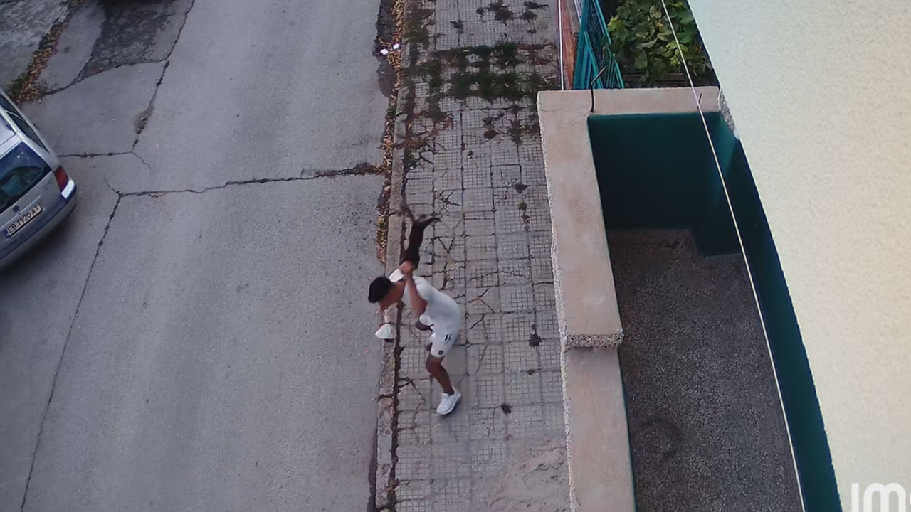 Издирват садист от Севлиево - грабна малко коте, удари го с всичка сила в земята