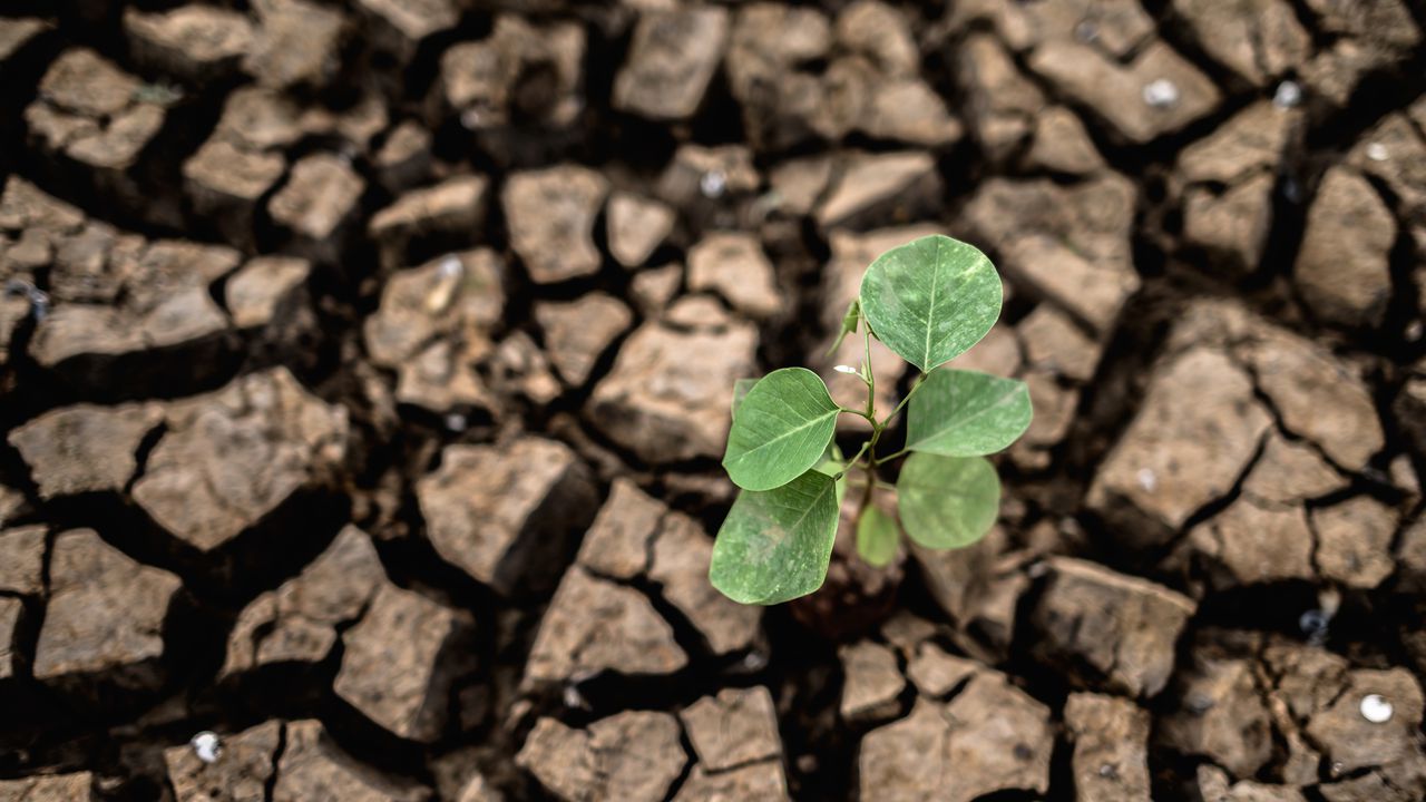 Бездействието срещу климатичните промени е причина за милиони смъртни случаи