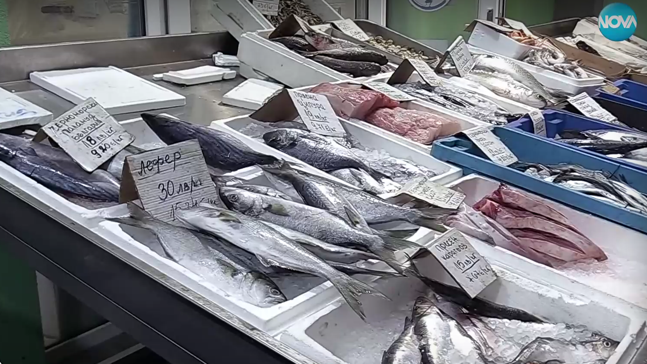 Дни преди Никулден мрежите на рибарите в Ахтопол са празни.