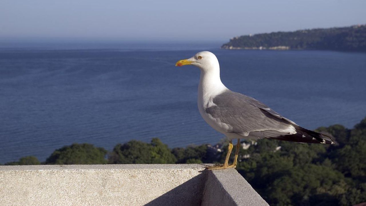 Шокиращи сцени са се разиграли в петък около 11:30 часа