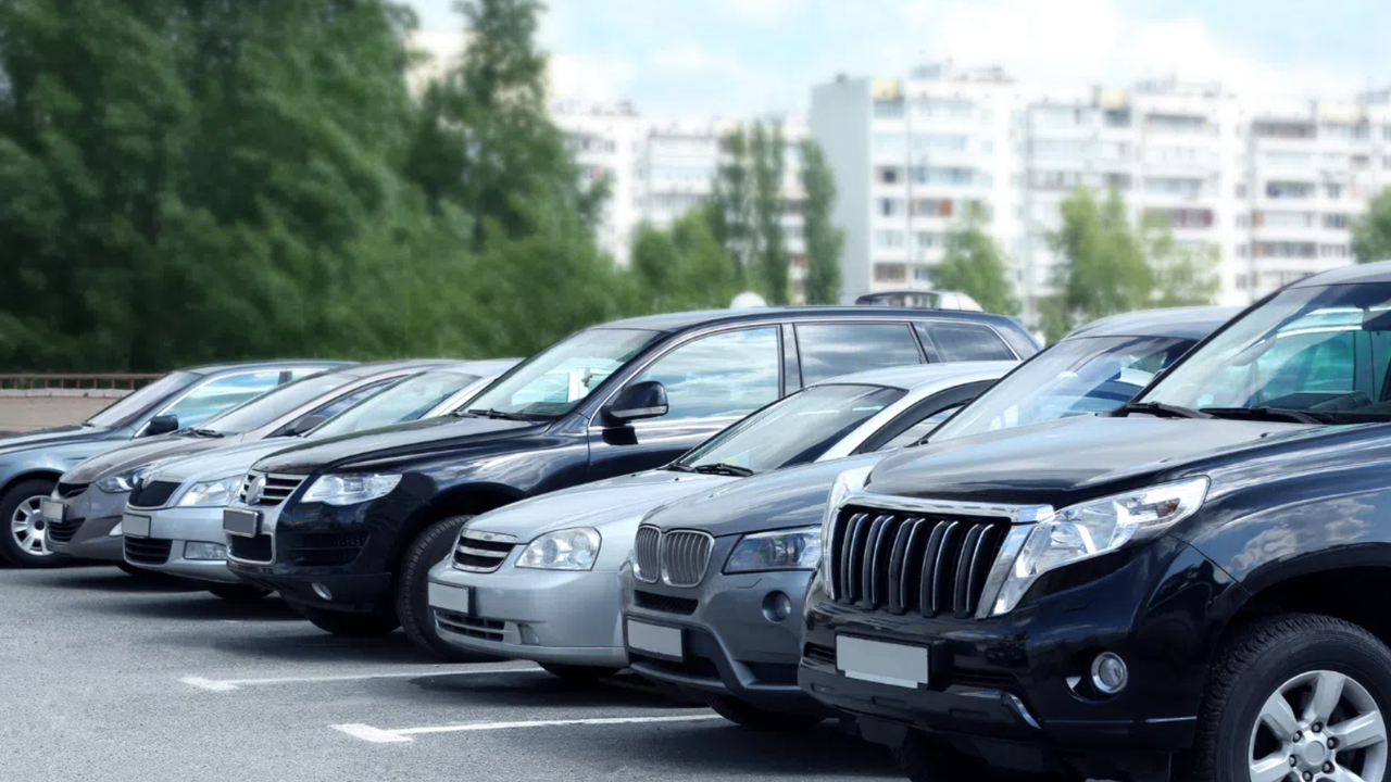 Програмата е резултат от дълъг процес по преглед на повече