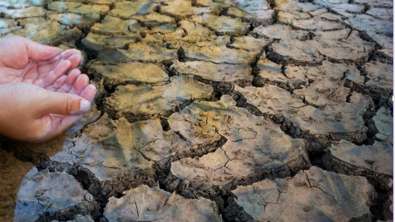 Гърция въвежда извънредни мерки за борба срещу сушата в област