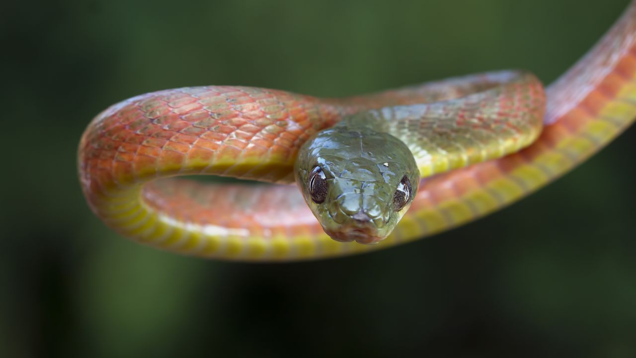 Подадени са 4 сигнала до районната администрация. От общината са