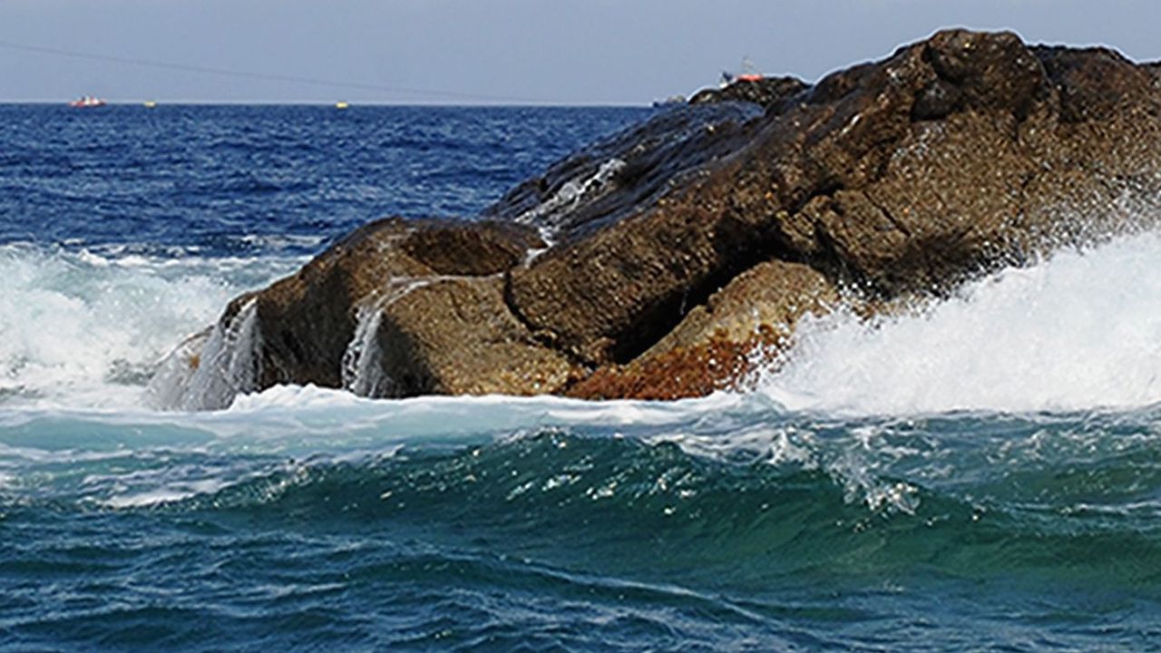 Круизен оператор е подвел жената, оставена на остров, която по-късно умира, твърди семейството
